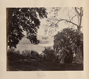 Manus Bul Plane Trees Samuel Bourne English 1834 Manus Bul Plane Trees Samuel Bourne English 1834