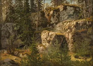 Marcus Larson Stony Forest Rocky forest landscape Marcus Larson Stony Forest Rocky forest landscape
