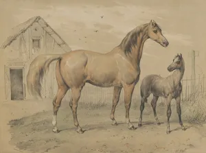 Mare Foal 19th century Lithograph hand-colored Mare Foal 19th century Lithograph hand-colored