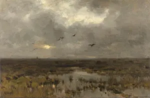 Marsh Flat landscape swamp birds inland marsh Marsh Flat landscape swamp birds inland marsh