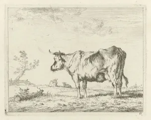 Meadow with standing cow, Johannes Janson, 1761-1784 Meadow with standing cow, Johannes Janson, 1761-1784