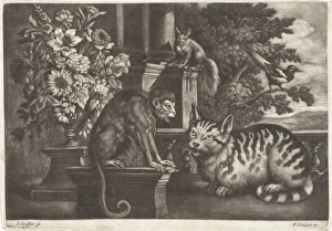 Monkey, cat, squirrel and magpie, Jan Griffier I, Francis Barlow, Pierce Tempest Monkey, cat, squirrel and magpie, Jan Griffier I, Francis Barlow, Pierce Tempest