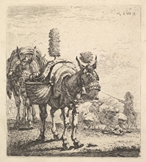 Two mules bearing panniers outfitted blinders Two mules bearing panniers outfitted blinders