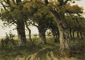 Oak avenue in late summer, Maria Bilders-van Bosse, 1880 - 1900 Oak avenue in late summer, Maria Bilders-van Bosse, 1880 - 1900