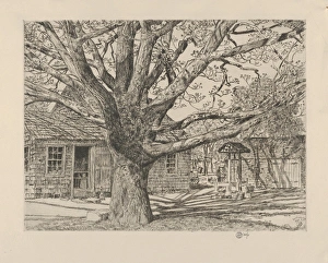 Oak Old House Spring 1931 Etching Plate 8 3/8 x 11 1/8 Oak Old House Spring 1931 Etching Plate 8 3/8 x 11 1/8