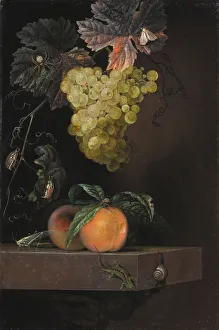 Ottmar Elliger Life Fruit Lizard Insects Fruits Ottmar Elliger Life Fruit Lizard Insects Fruits