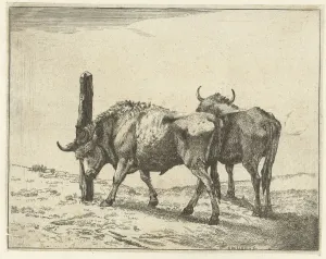 Two oxen sanding head pole Copy print Karel Dujardin Two oxen sanding head pole Copy print Karel Dujardin