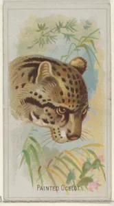 Painted Ocelot Wild Animals World series N25 Painted Ocelot Wild Animals World series N25