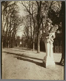 Park Versailles Eugene Atget French 1857 1927 Park Versailles Eugene Atget French 1857 1927