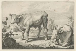 Pasture with two bulls, Reinier van Persijn, Jacob Gerritsz Cuyp, Nicolaes Visscher (I) Pasture with two bulls, Reinier van Persijn, Jacob Gerritsz Cuyp, Nicolaes Visscher (I)