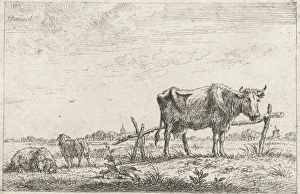 Pasture with cows and sheep, print maker: Johannes Janson, 1761 - 1784 Pasture with cows and sheep, print maker: Johannes Janson, 1761 - 1784