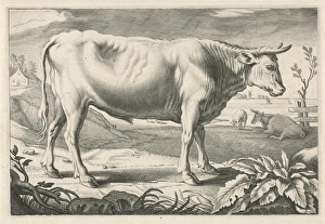 Pasture with an ox, Reinier van Persijn, Jacob Gerritsz Cuyp, Nicolaes Visscher (I), 1641 Pasture with an ox, Reinier van Persijn, Jacob Gerritsz Cuyp, Nicolaes Visscher (I), 1641