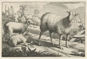 Pasture with a sheep and two lambs, Reinier van Persijn, Jacob Gerritsz Cuyp Pasture with a sheep and two lambs, Reinier van Persijn, Jacob Gerritsz Cuyp