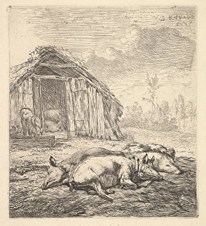 Three pigs lying sides pigsty trough beyond 1652 Three pigs lying sides pigsty trough beyond 1652