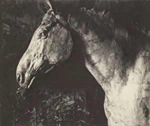 Plaster Model Clinker Equestrian Relief General Grant Plaster Model Clinker Equestrian Relief General Grant