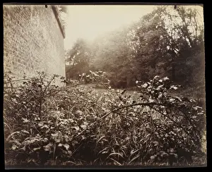 Albumen Silver Print Art Prints: Porte Dauphine Eugene Atget French 1857 1927