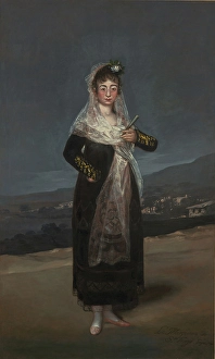 Portrait Marquesa de Santiago Francisco Jose Portrait Marquesa de Santiago Francisco Jose