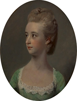 Portrait of a young woman, possibly Miss Nettlethorpe, Henry Walton, 1746-1813, British Portrait of a young woman, possibly Miss Nettlethorpe, Henry Walton, 1746-1813, British