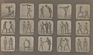 Posturing Eadweard J Muybridge American born England Posturing Eadweard J Muybridge American born England