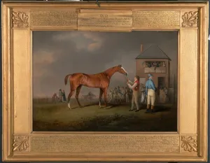 Quiz, After His Last Race at Newmarket Portrait of `Quiz, the property of Lord Rous Quiz, After His Last Race at Newmarket Portrait of `Quiz, the property of Lord Rous