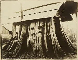 Residence Early Settler Washington Darius Kinsey Residence Early Settler Washington Darius Kinsey