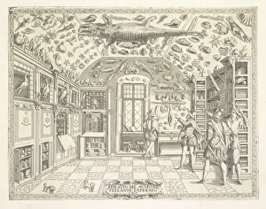 Ritratto del Museo di Ferrante Imperato Historia natvrale Ritratto del Museo di Ferrante Imperato Historia natvrale