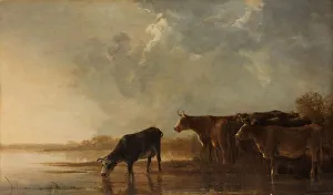 River Landscape Cows Flat river landscape cows River Landscape Cows Flat river landscape cows