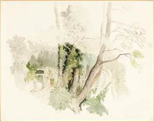 Robert Hills, British (1769-1844), Trees at Beddington, possibly c Robert Hills, British (1769-1844), Trees at Beddington, possibly c