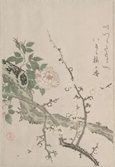 Roses Plum Blossoms 19th century Japan Part album