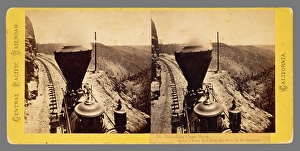 H Gallery: Alfred Hart Collection