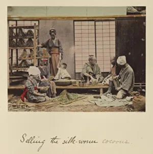 Selling Silk-worm Cocoons Shinichi Suzuki Japanese Selling Silk-worm Cocoons Shinichi Suzuki Japanese