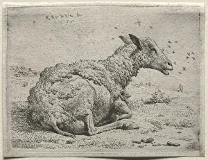 Sheep Flies Karel Dujardin Dutch 1622-1678 Etching Sheep Flies Karel Dujardin Dutch 1622-1678 Etching