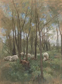 Sheep herd forest herd flock sheep Anton Mauve Sheep herd forest herd flock sheep Anton Mauve
