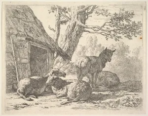 Four sheep sheep stands three lying ground next Four sheep sheep stands three lying ground next
