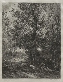 Shepherd Shepherdess 1874 Charles Francois Daubigny Shepherd Shepherdess 1874 Charles Francois Daubigny