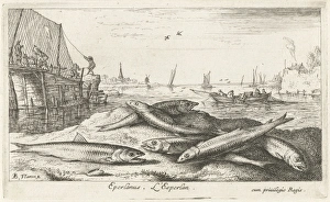 Six smelts on the beach, Albert Flamen, 1664 Six smelts on the beach, Albert Flamen, 1664