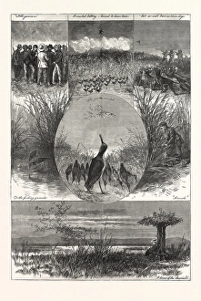 THE SNIPE, DRAWING GASTON FAY, engraving 1880 THE SNIPE, DRAWING GASTON FAY, engraving 1880