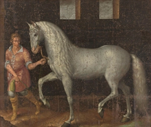 Spanish Warhorse Spanish Warhorse Captured Lodewijk Gunther Spanish Warhorse Spanish Warhorse Captured Lodewijk Gunther
