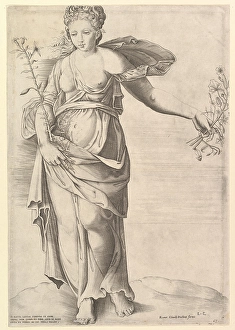 Speculum Romanae Magnificentiae Flora mid-16th century Speculum Romanae Magnificentiae Flora mid-16th century