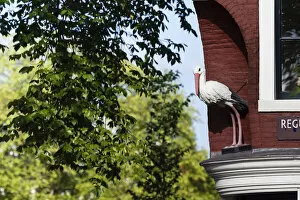 Images Dated 21st July 2007: Statue of stork at the crossing of Prinsengracht and Reguliersgracht, The Netherlands