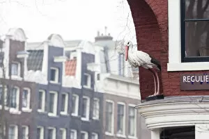 Images Dated 19th February 2006: Statue of stork at the crossing of Prinsengracht and Reguliersgracht, Amsterdam The netherlands