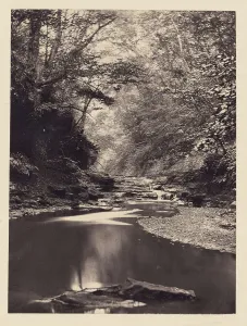 Stream small waterfall Arthur Brown British active 1850s Stream small waterfall Arthur Brown British active 1850s