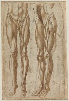 Two Studies of a Flayed Man Print, 1554