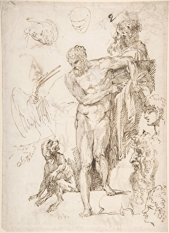 Studies Sketches Figures Standing Male Nude Frontal View Studies Sketches Figures Standing Male Nude Frontal View