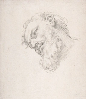 Study Head Man 1625-1713 Black chalk white paper Study Head Man 1625-1713 Black chalk white paper