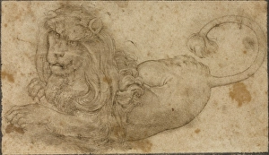 Study Lion Lucas Cranach Elder German 1472 1553 Study Lion Lucas Cranach Elder German 1472 1553