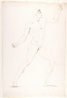 Study Nude Man Profile turned Right n.d Pen brown ink Study Nude Man Profile turned Right n.d Pen brown ink