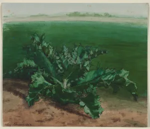 Study Plant Thistle 1862 Lé Bonvin French Study Plant Thistle 1862 Lé Bonvin French