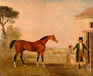 Sultan at the Marquess of Exeters Stud, Burghley House, Lambert Marshall Sultan at the Marquess of Exeters Stud, Burghley House, Lambert Marshall