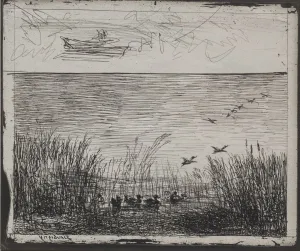 Swamp Ducks original impression 1862 printed Swamp Ducks original impression 1862 printed
